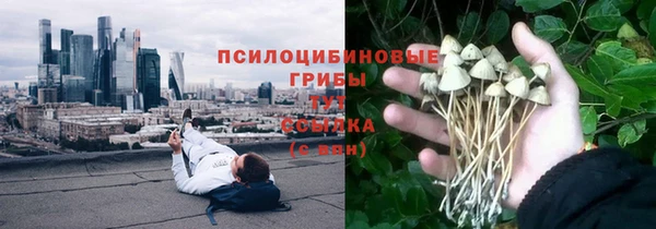 прущая мука Нея